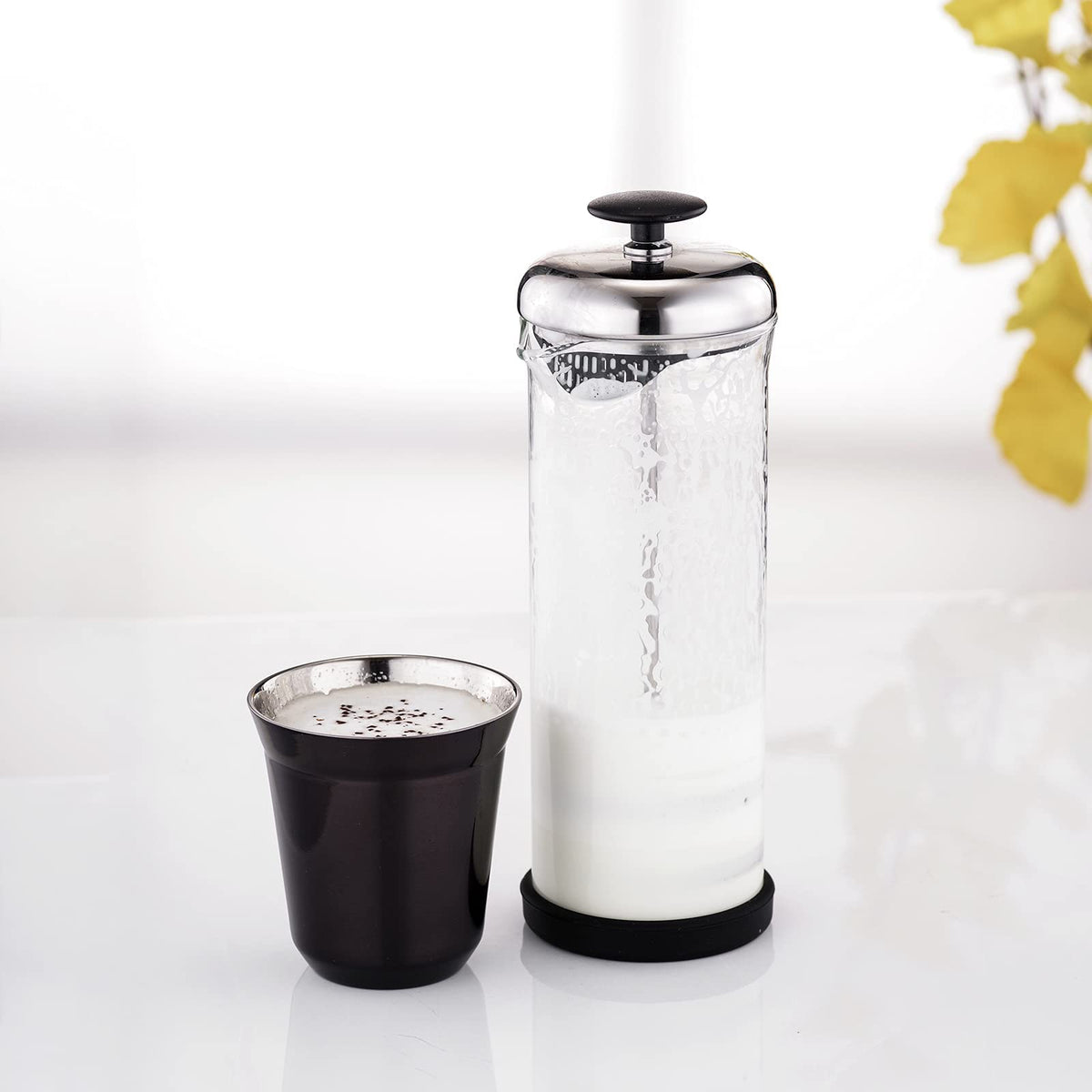 French Press 12 oz, Stainless Steel Espresso Cup 2pcs Set Double Wall Insulated 5 oz G504