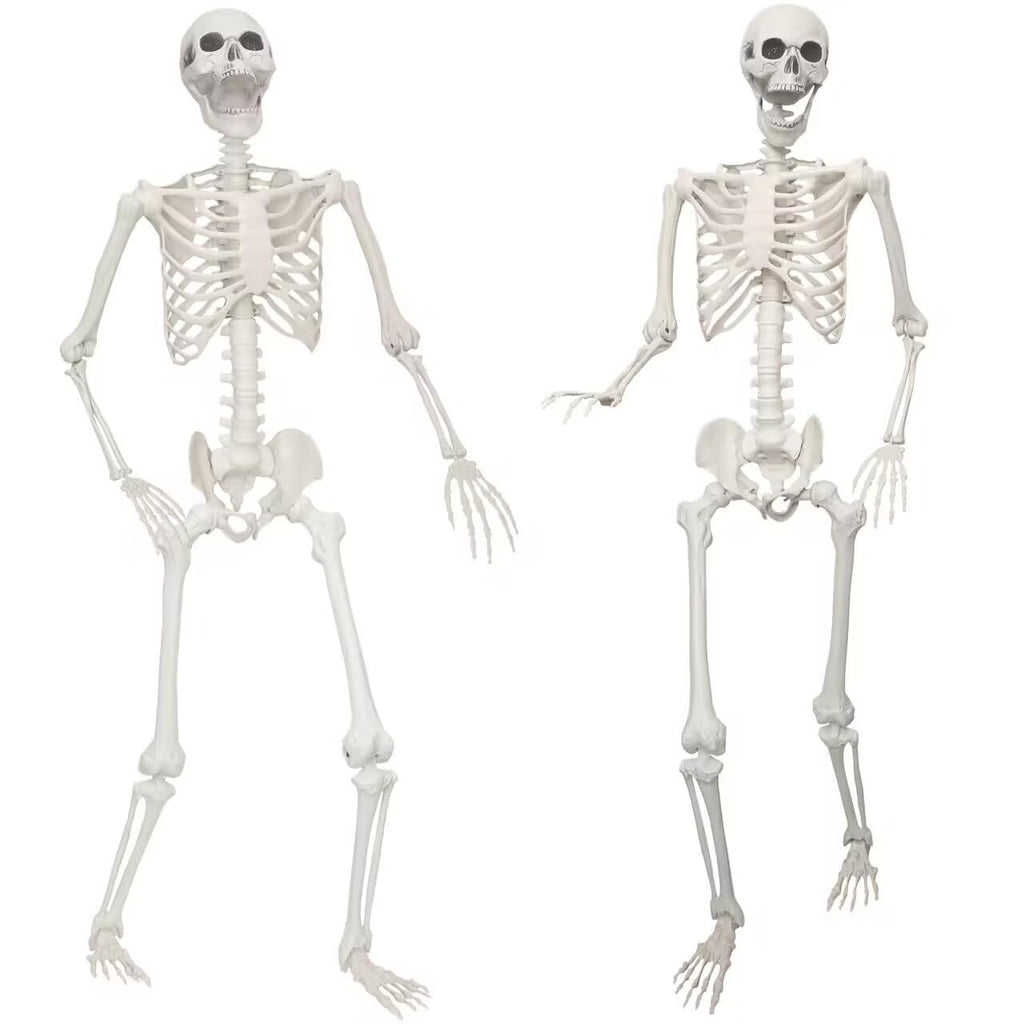 2 Pack 5.4ft Life Size Skeleton with Movable Joints A835