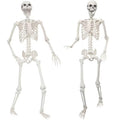 2 Pack 5.4ft Life Size Skeleton with Movable Joints A835