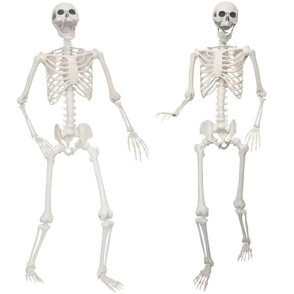 2 Pack 5.4ft Life Size Skeleton with Movable Joints A835