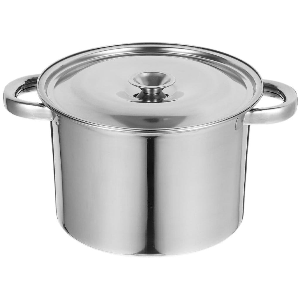 Stainless Steel Double Handle Stock Pot with Lid G625565