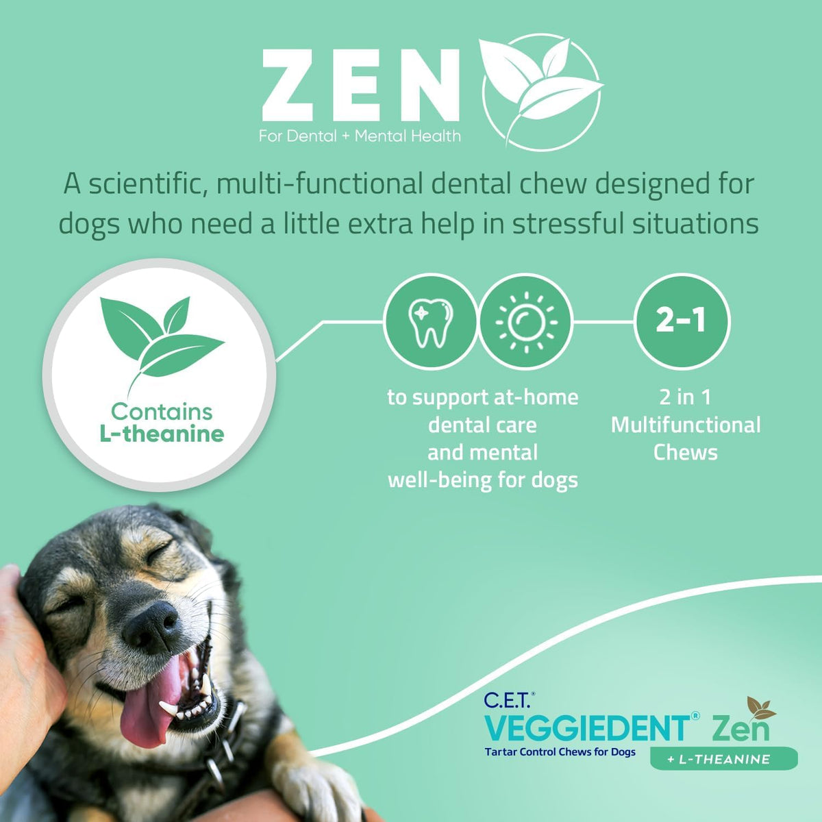 Plaque and Tartar Control Chews for Dogs I14790