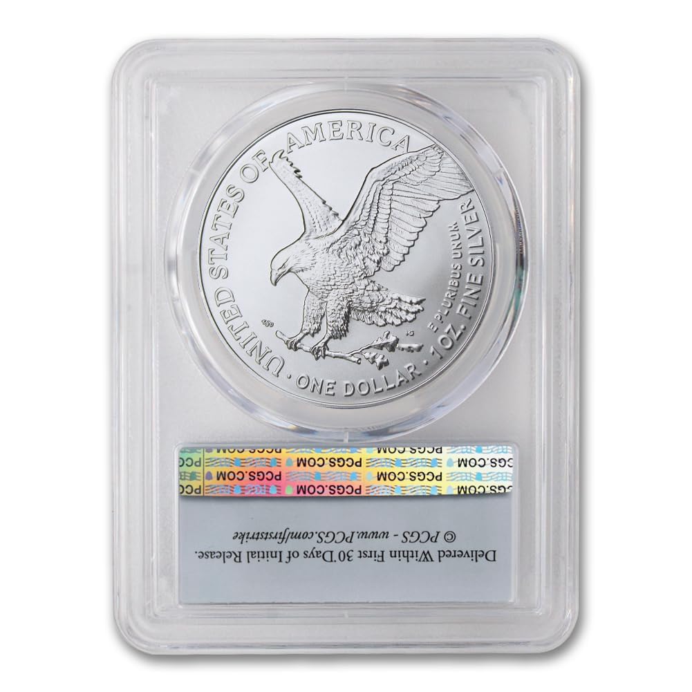 1 oz American Silver Eagle Coin MS-70 F61493