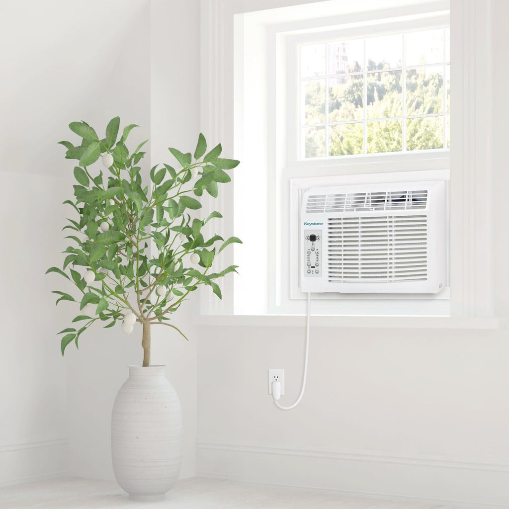 8,000 BTU Window Air Conditioner P62171
