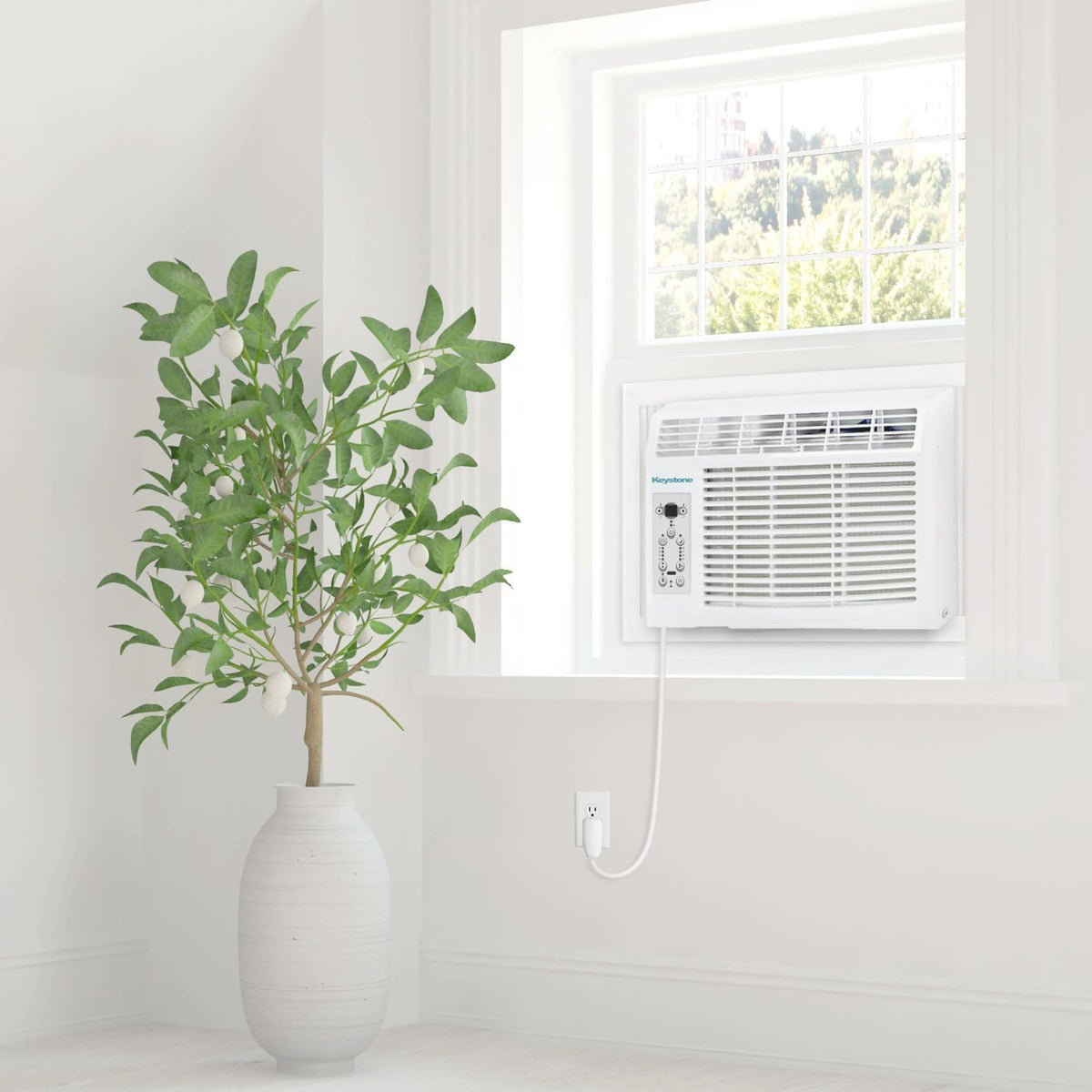 8,000 BTU Window Air Conditioner P62171
