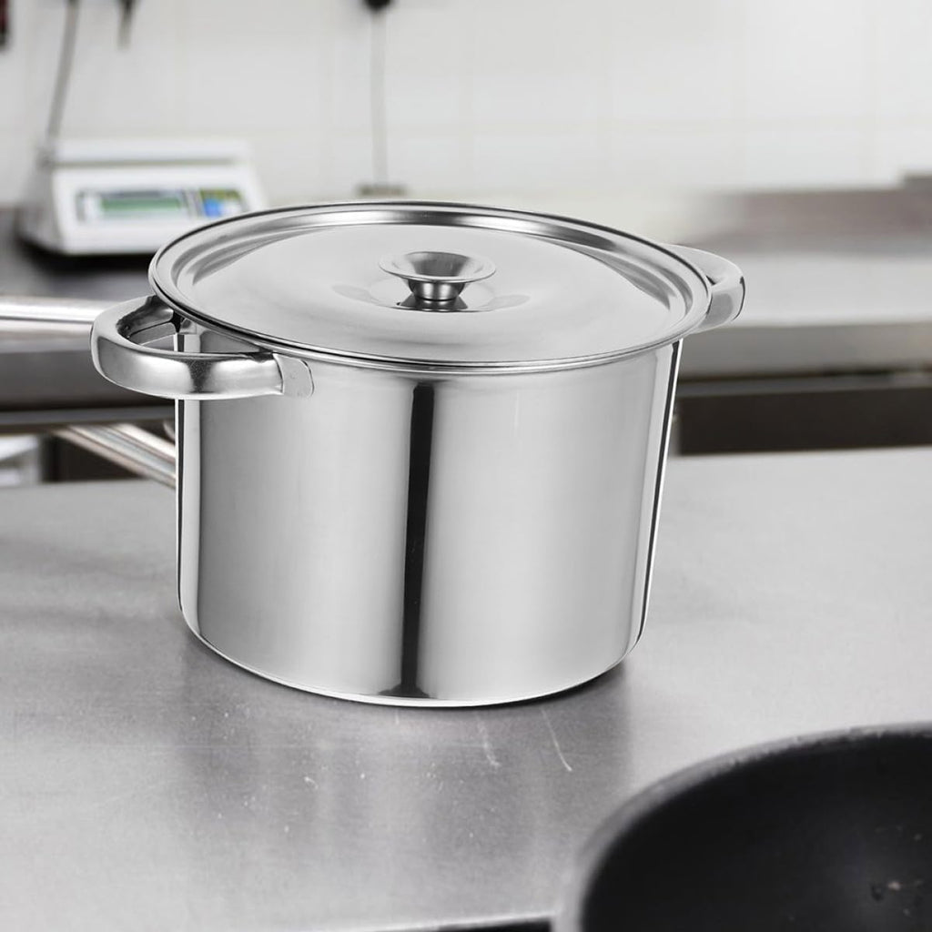 Stainless Steel Double Handle Stock Pot with Lid G625565