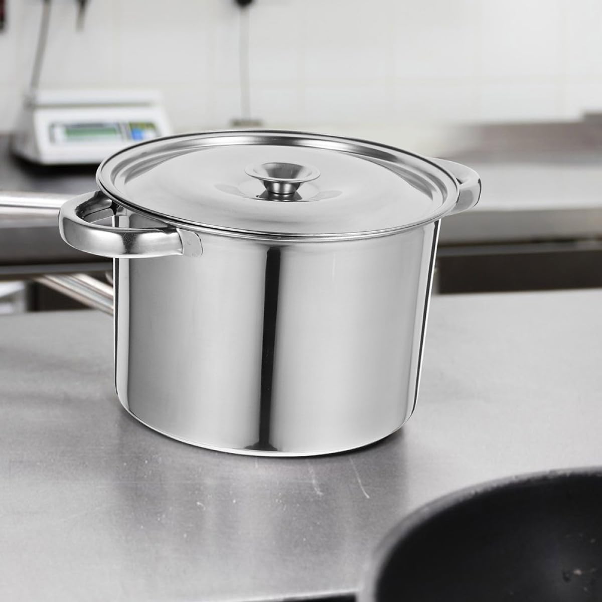 Stainless Steel Double Handle Stock Pot with Lid G625565