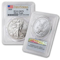 1 oz American Silver Eagle Coin MS-70 F61493