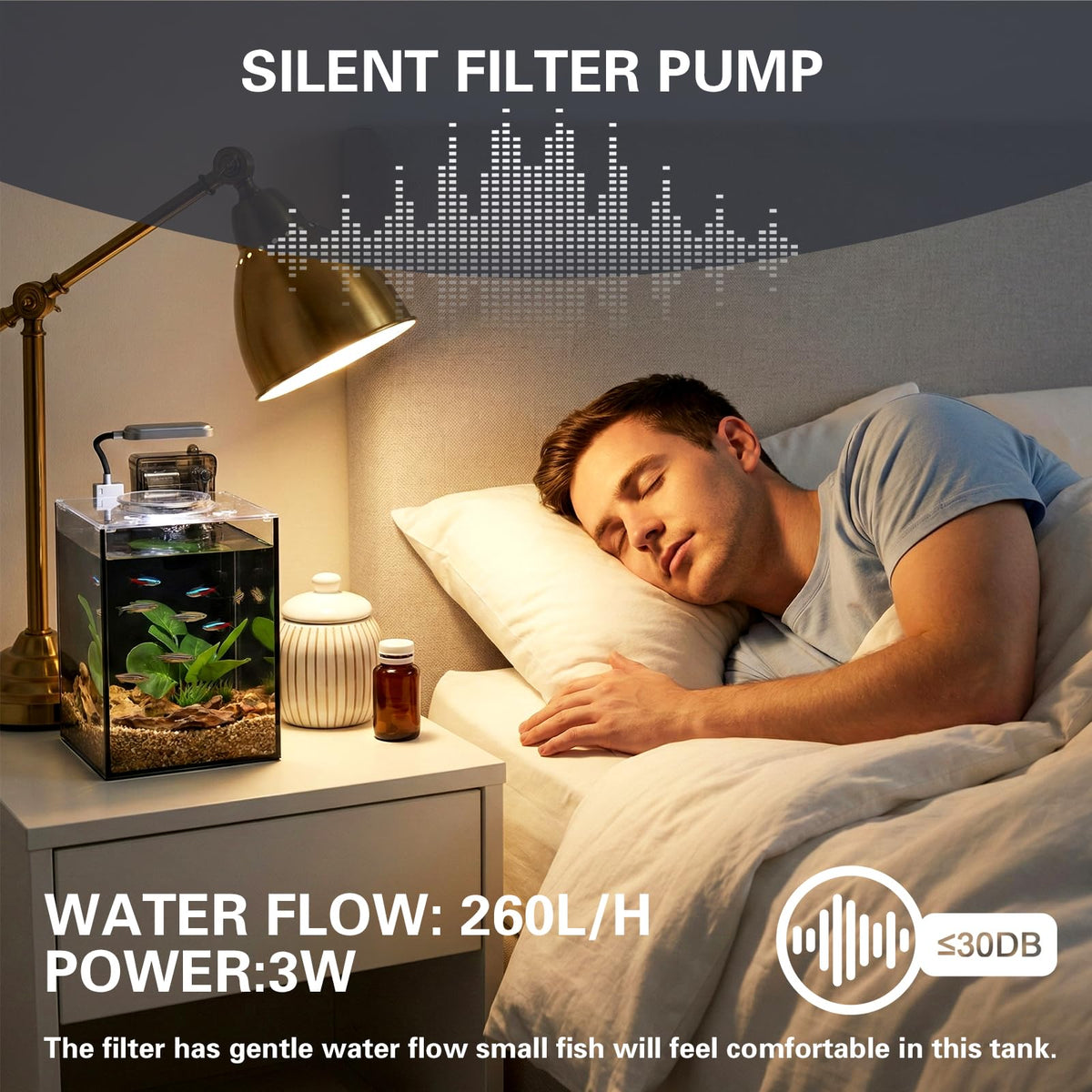 2.2 Gallon Glass Aquarium Set V587