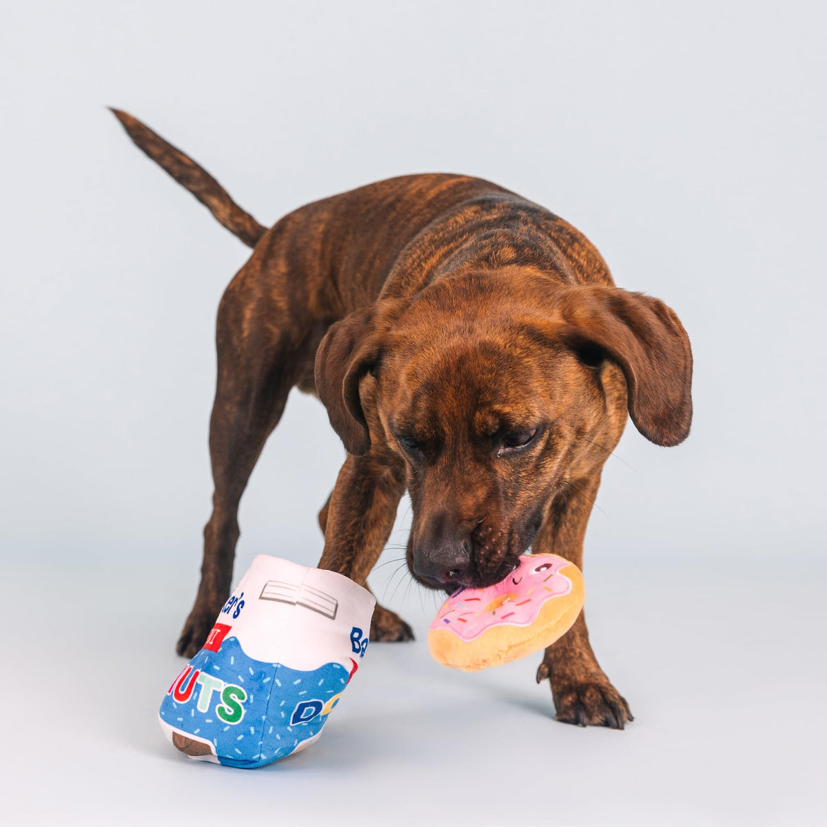 Plush Dog Toy Set O746