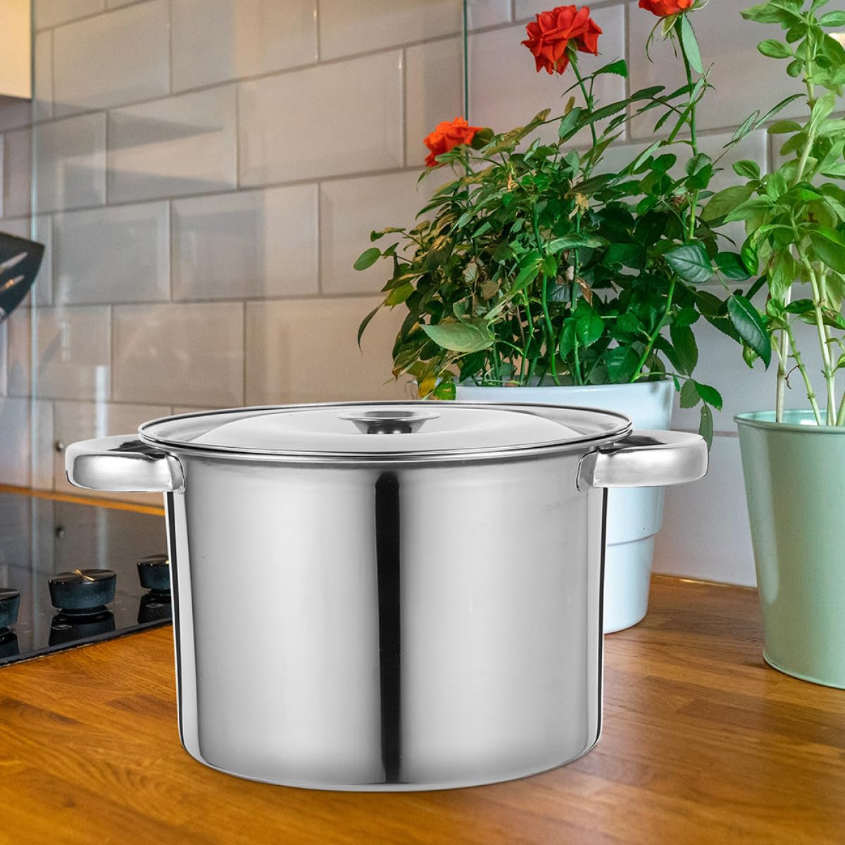 Stainless Steel Double Handle Stock Pot with Lid G625565