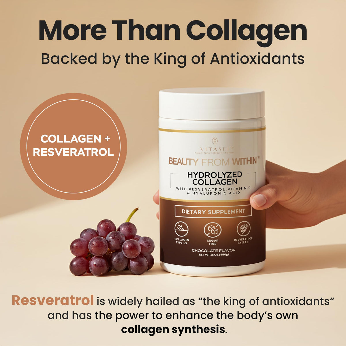 Hydrolyzed Collagen Peptide Powder Drink Chocolate Flavored 16oz K1207