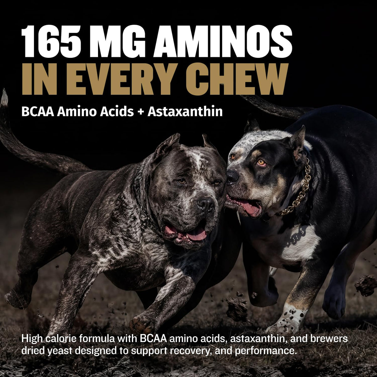 11-in-1 Dog Muscle Builder Power Chews - High Protein Supplement with Amino Acids - 75 Soft Chews Q1909