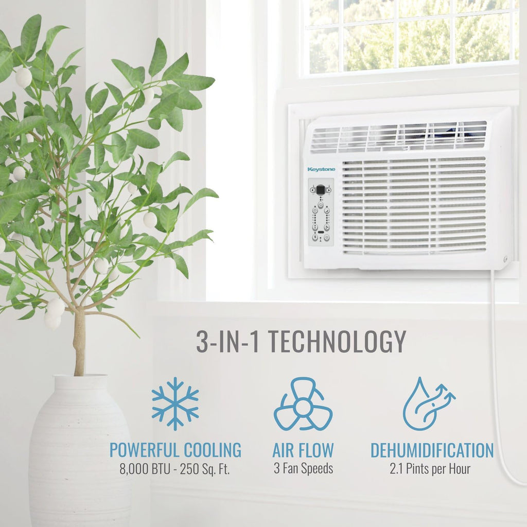 8,000 BTU Window Air Conditioner P62171