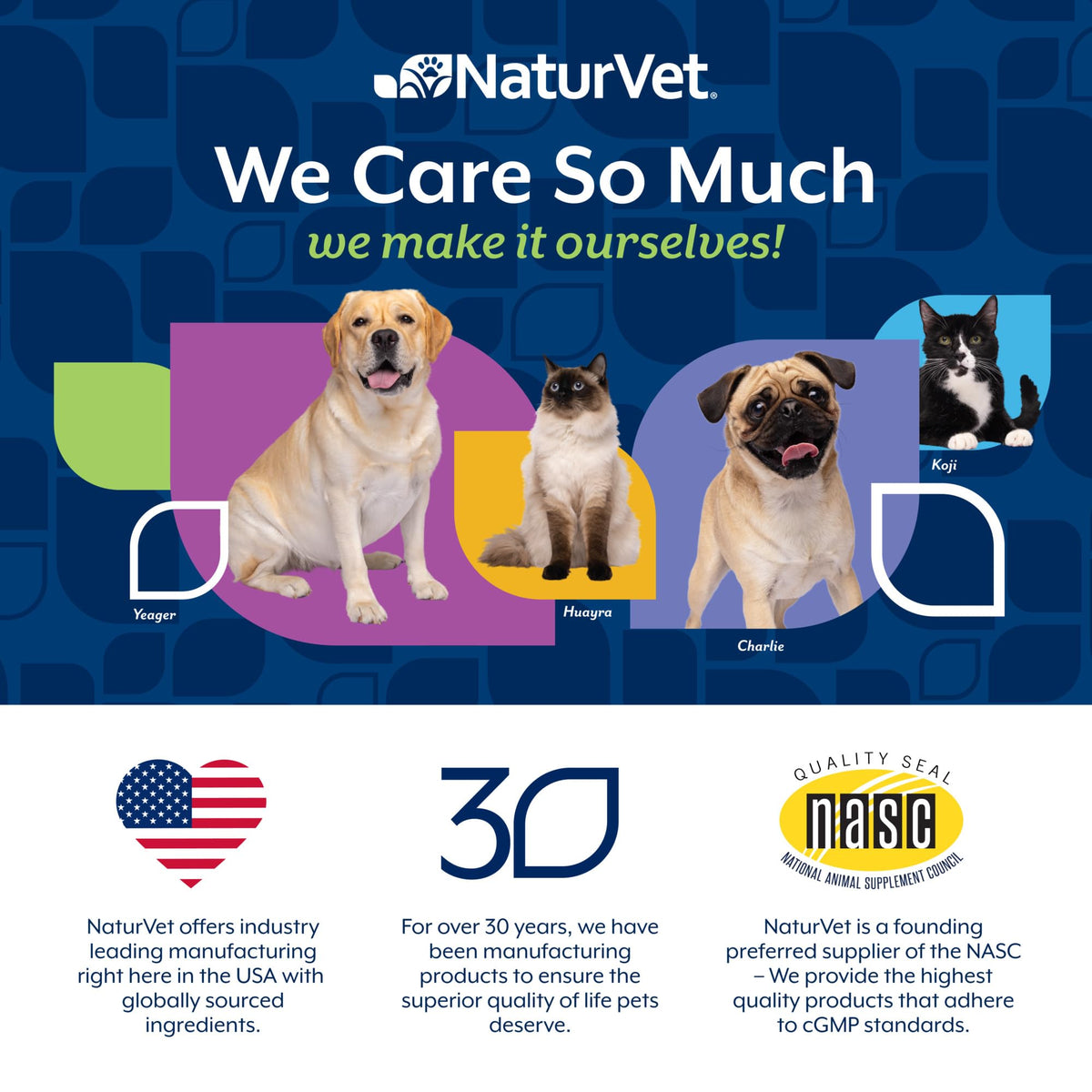 40 Soft Chews Dog Supplement U240023