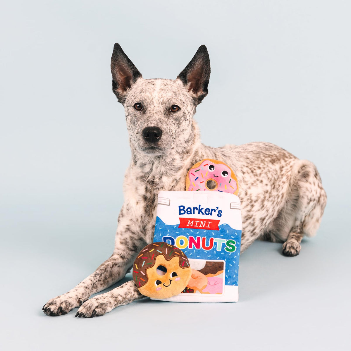 Plush Dog Toy Set O746