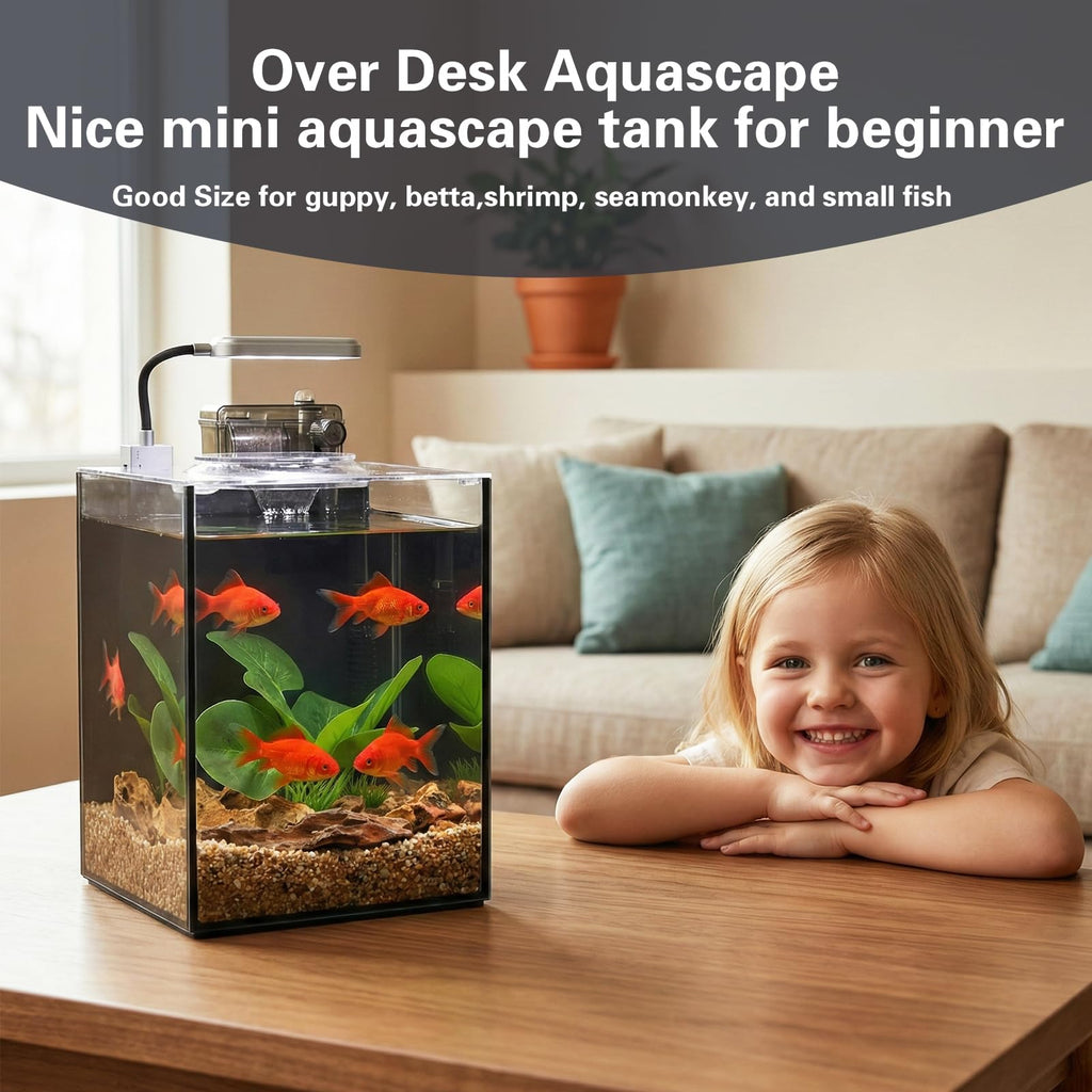 2.2 Gallon Glass Aquarium Set V587