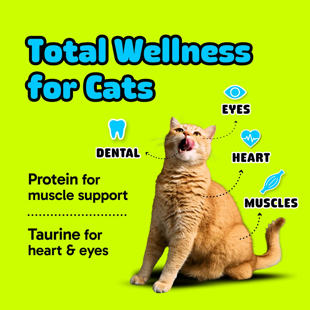 Cat Dental Chew Stick Bites Supplement with Taurine Z837426