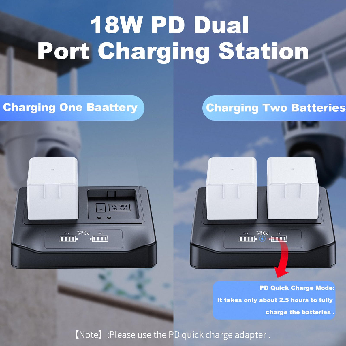 2-Pack Rechargeable Batteries with LCD Dual Charger N5890