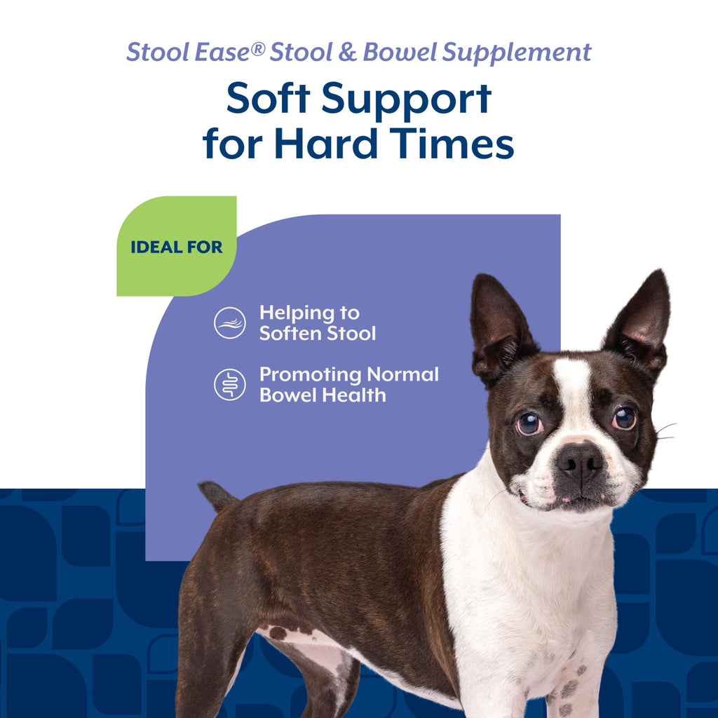 40 Soft Chews Dog Supplement U240023