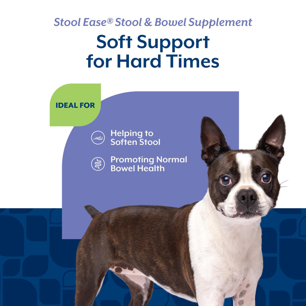 40 Soft Chews Dog Supplement U240023