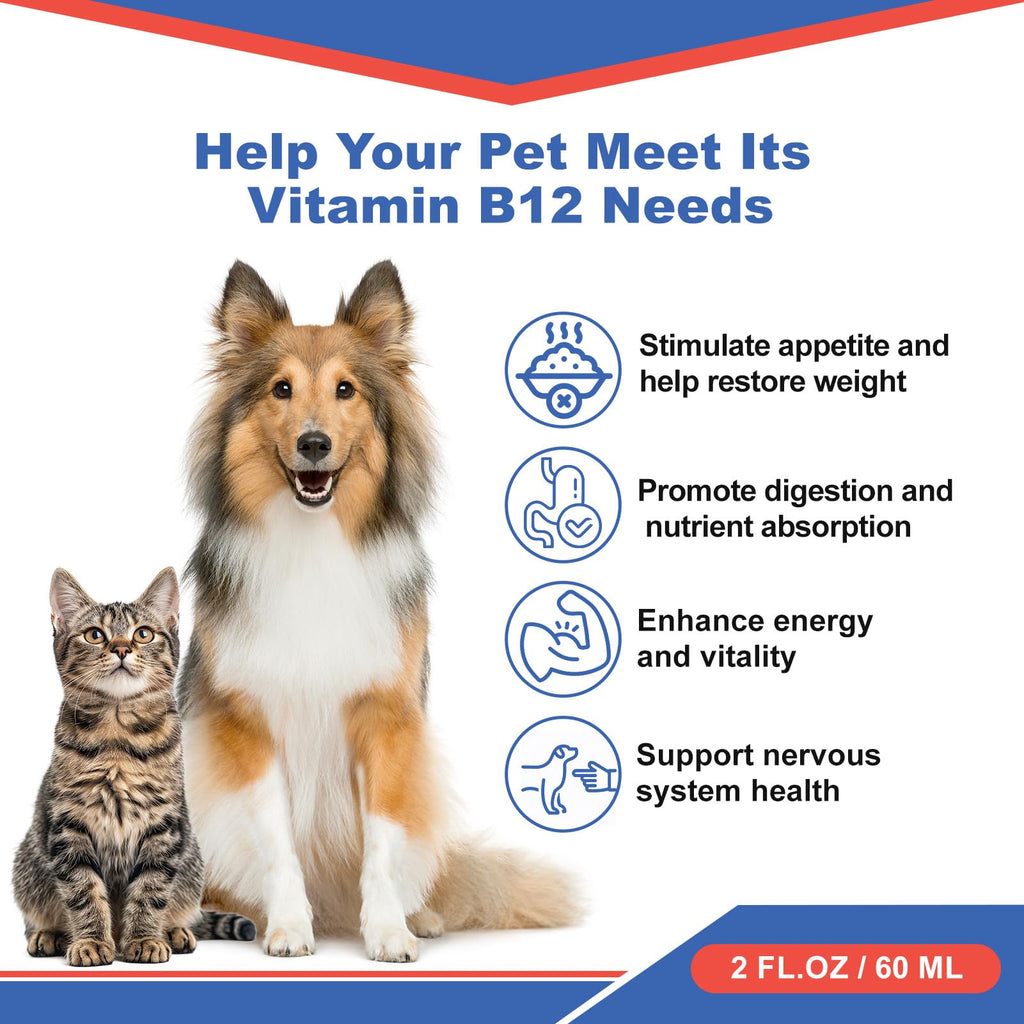 Vitamin B12 Liquid Supplement 60 ml U9468