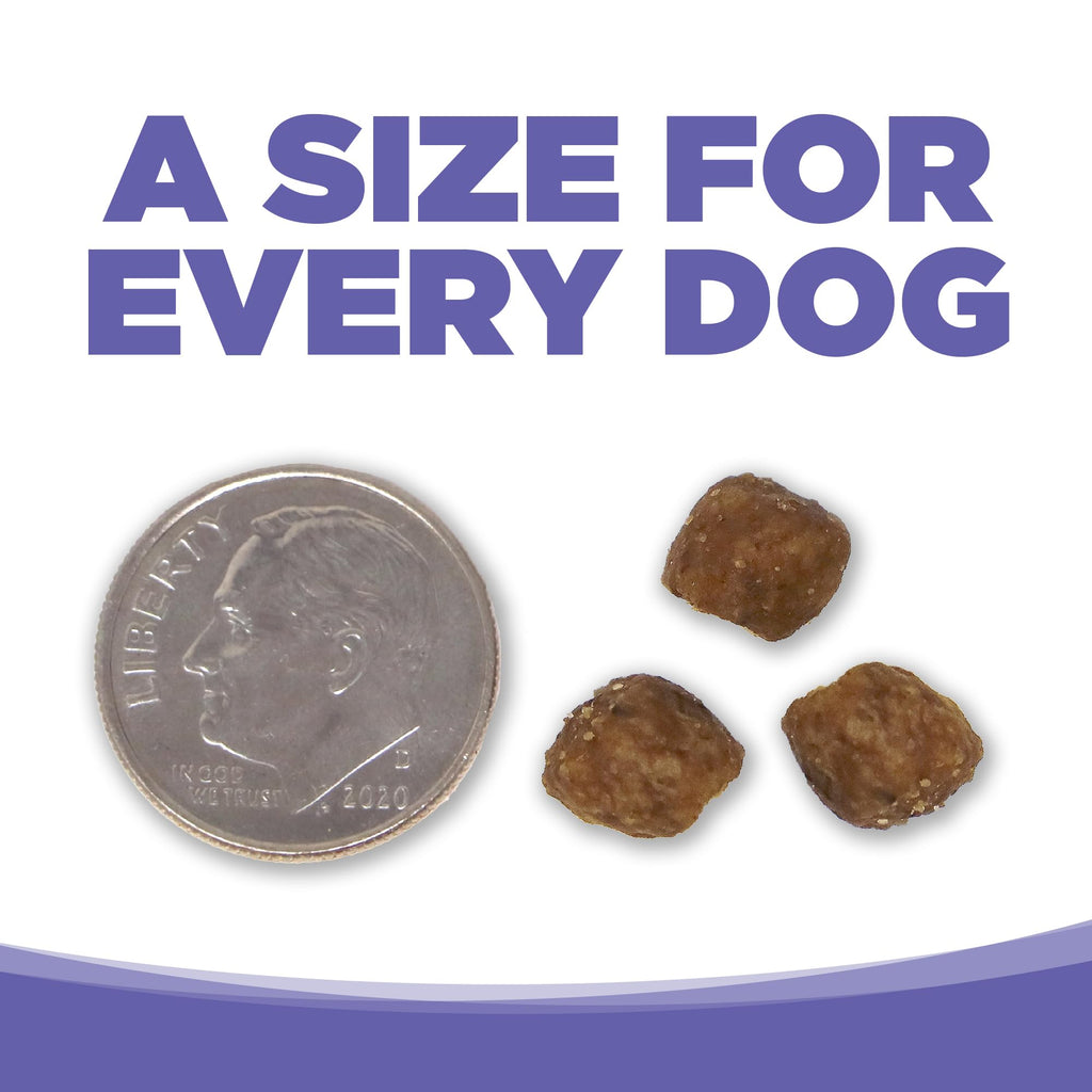Small & Medium Breed Puppy Dry Dog Food, 4 lb V492257