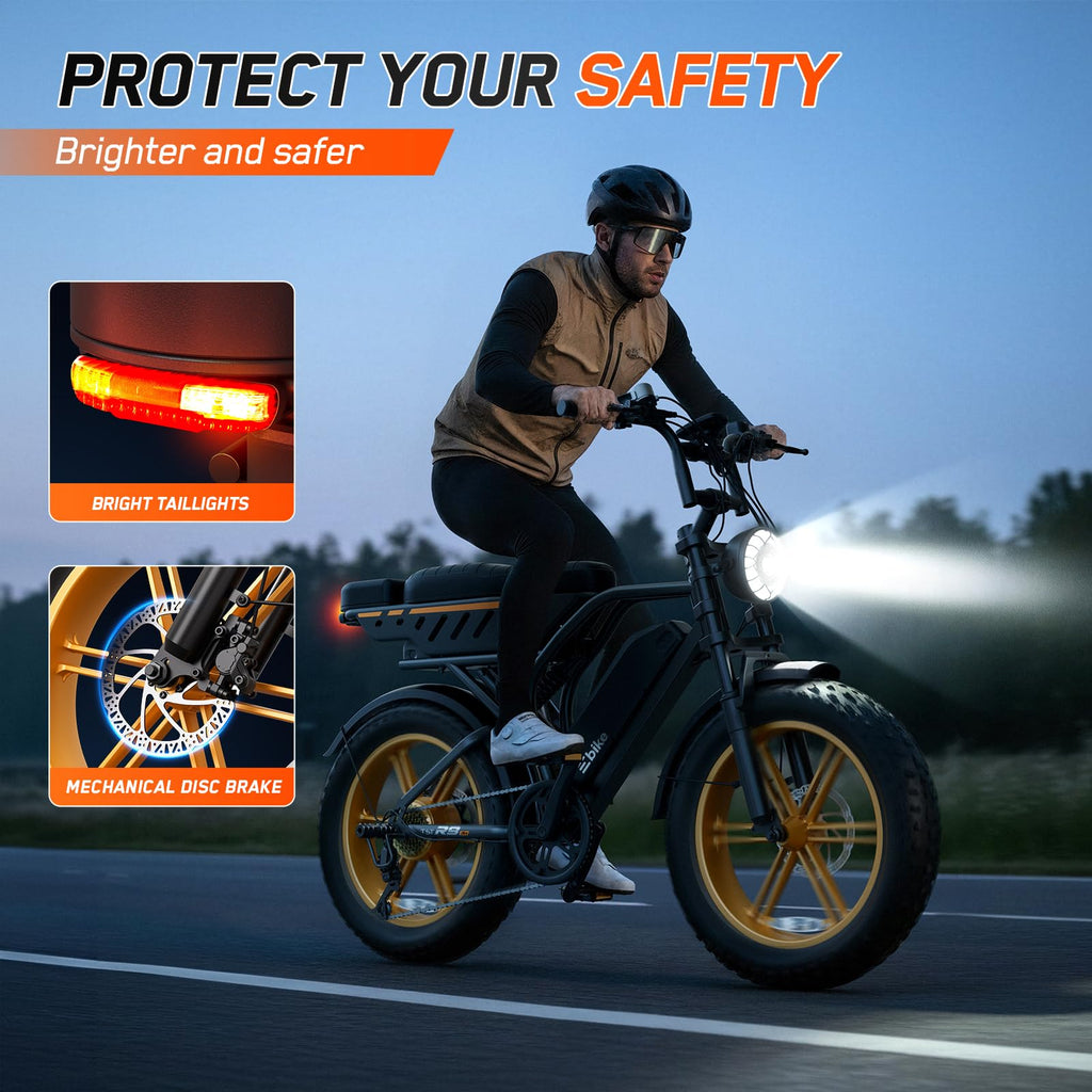 Electric Bike 48V Removable Battery F938482