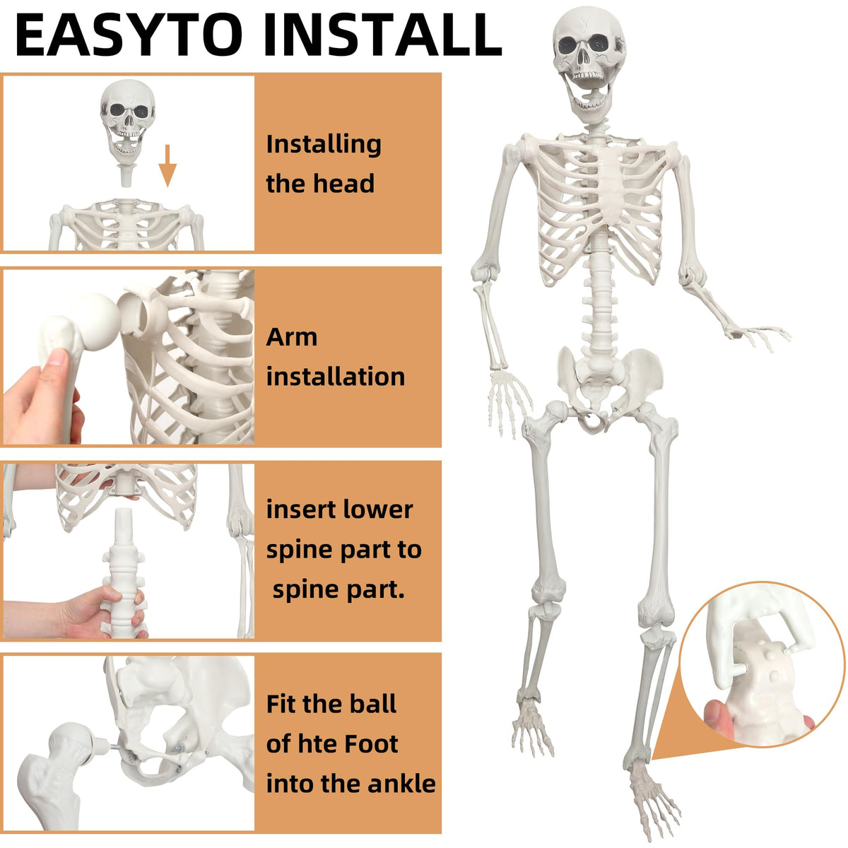 2 Pack 5.4ft Life Size Skeleton with Movable Joints A835