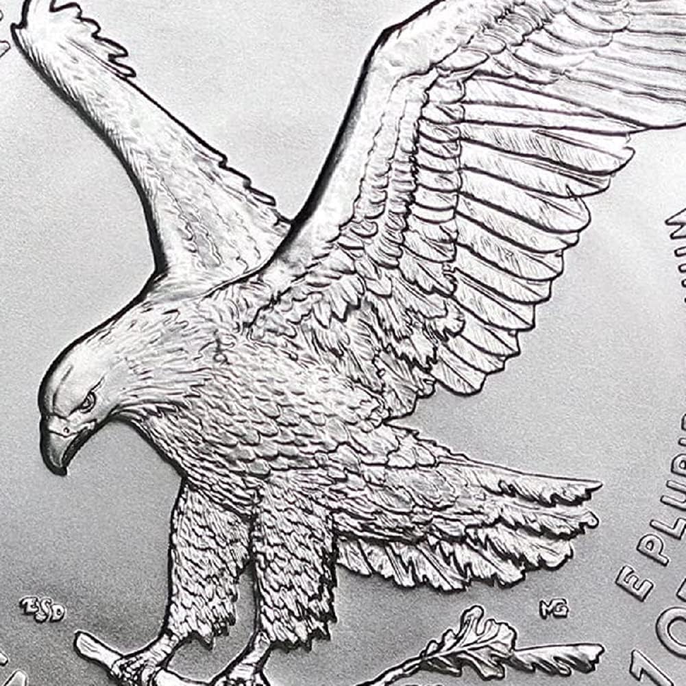 1 oz American Silver Eagle Coin MS-70 F61493