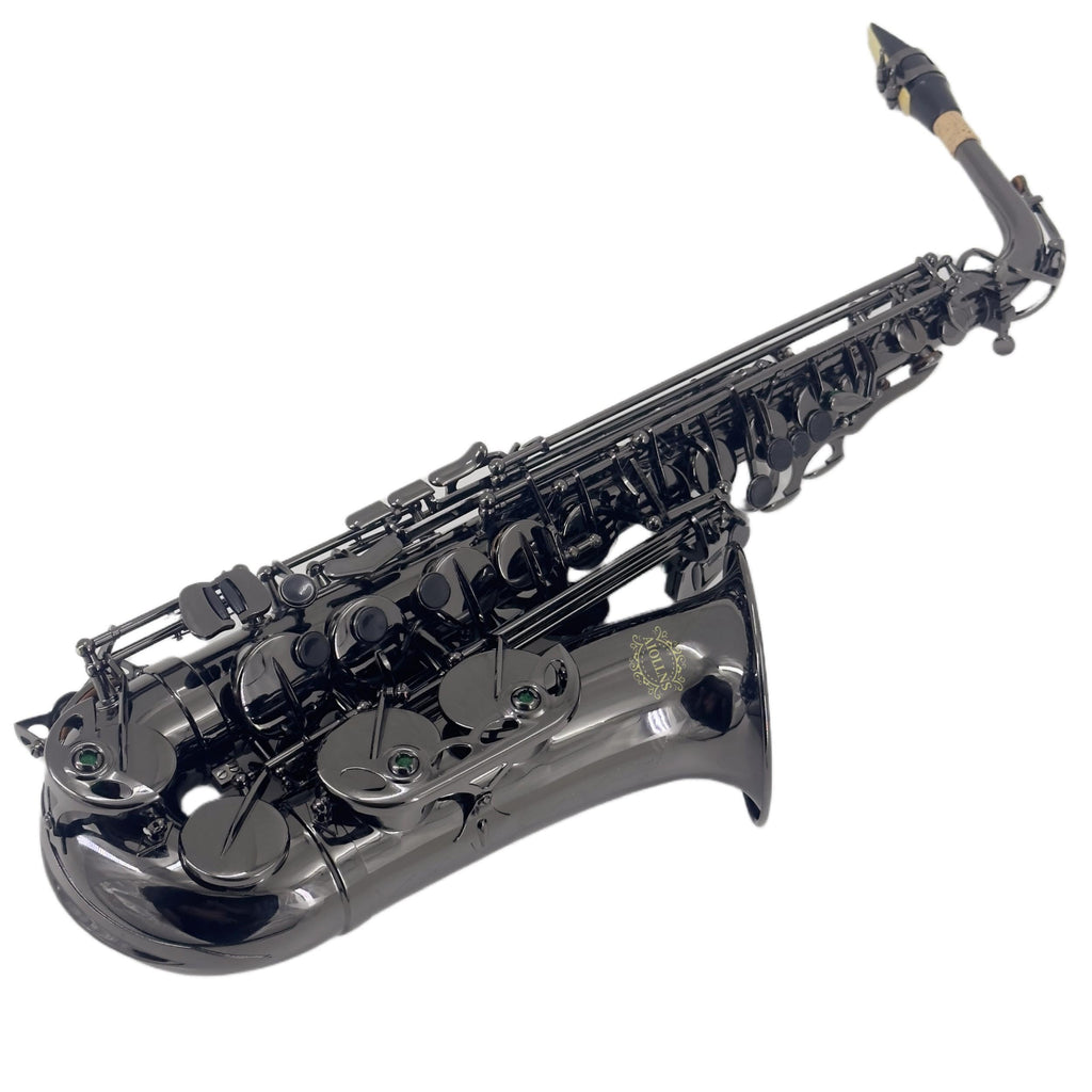 Alto Saxophone E Flat Black R2161
