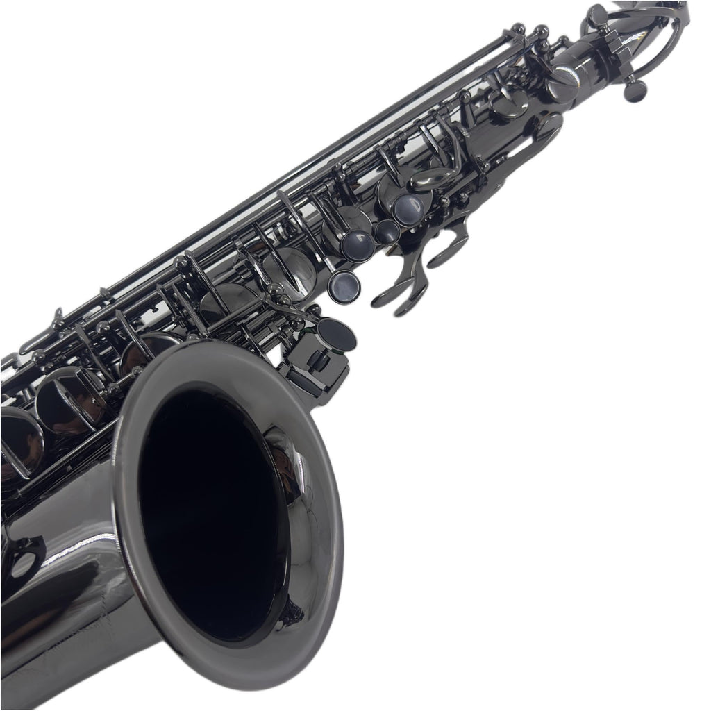 Alto Saxophone E Flat Black R2161