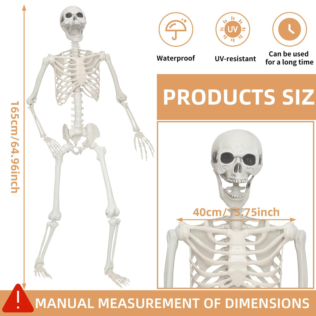 2 Pack 5.4ft Life Size Skeleton with Movable Joints A835