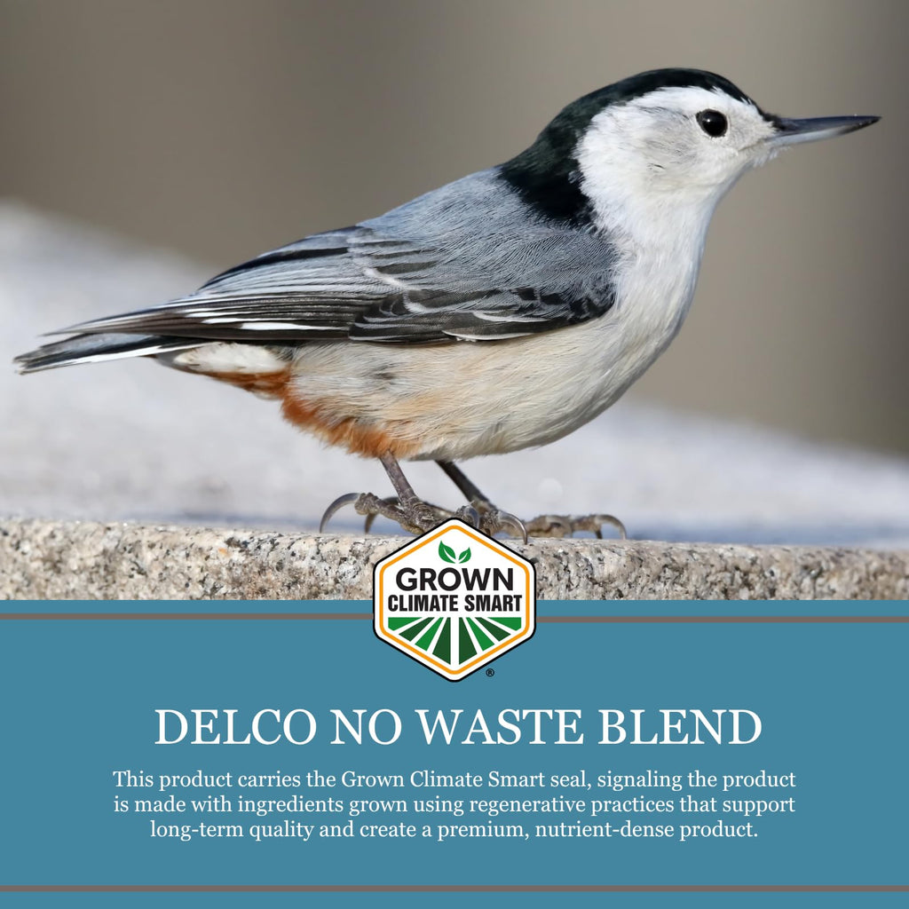 No Waste Wild Bird Seed 20 lb Bag Shell-Free Blend E7817