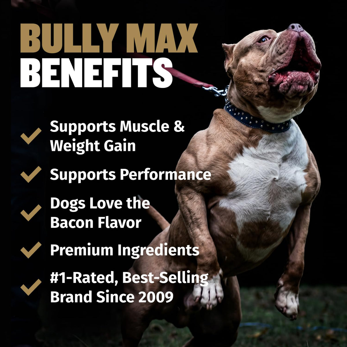 11-in-1 Dog Muscle Builder Power Chews - High Protein Supplement with Amino Acids - 75 Soft Chews Q1909