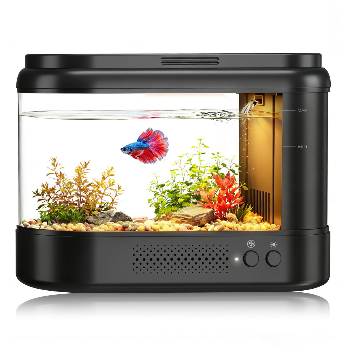 Black 1 Gallon Acrylic Aquarium Kit C7919