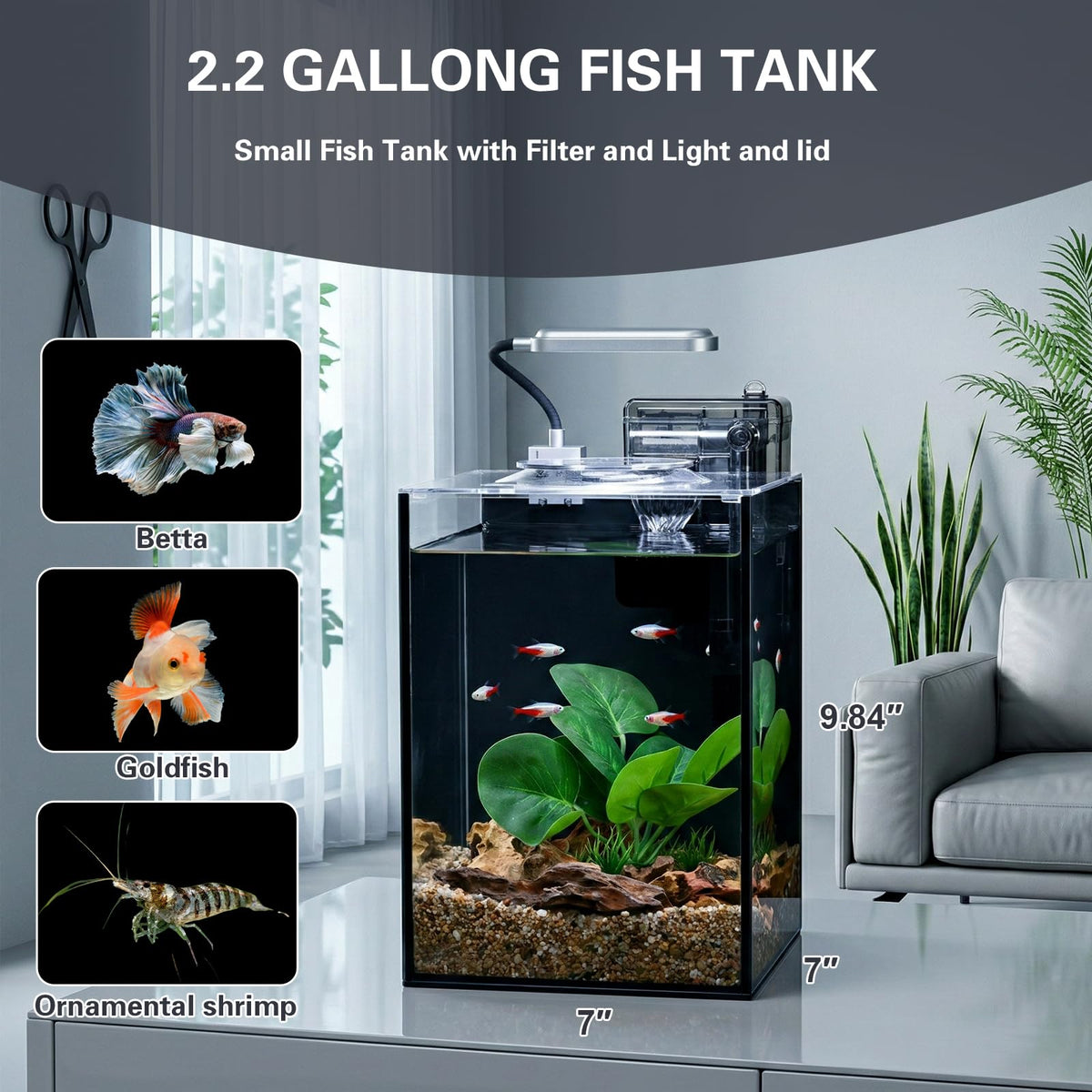 2.2 Gallon Glass Aquarium Set V587