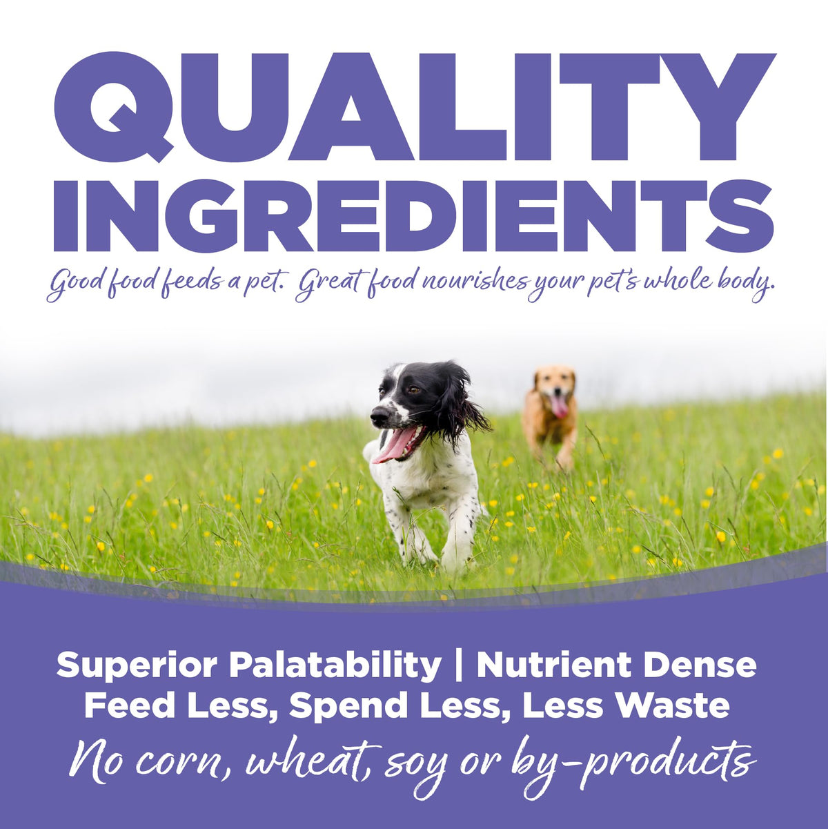Small & Medium Breed Puppy Dry Dog Food, 4 lb V492257
