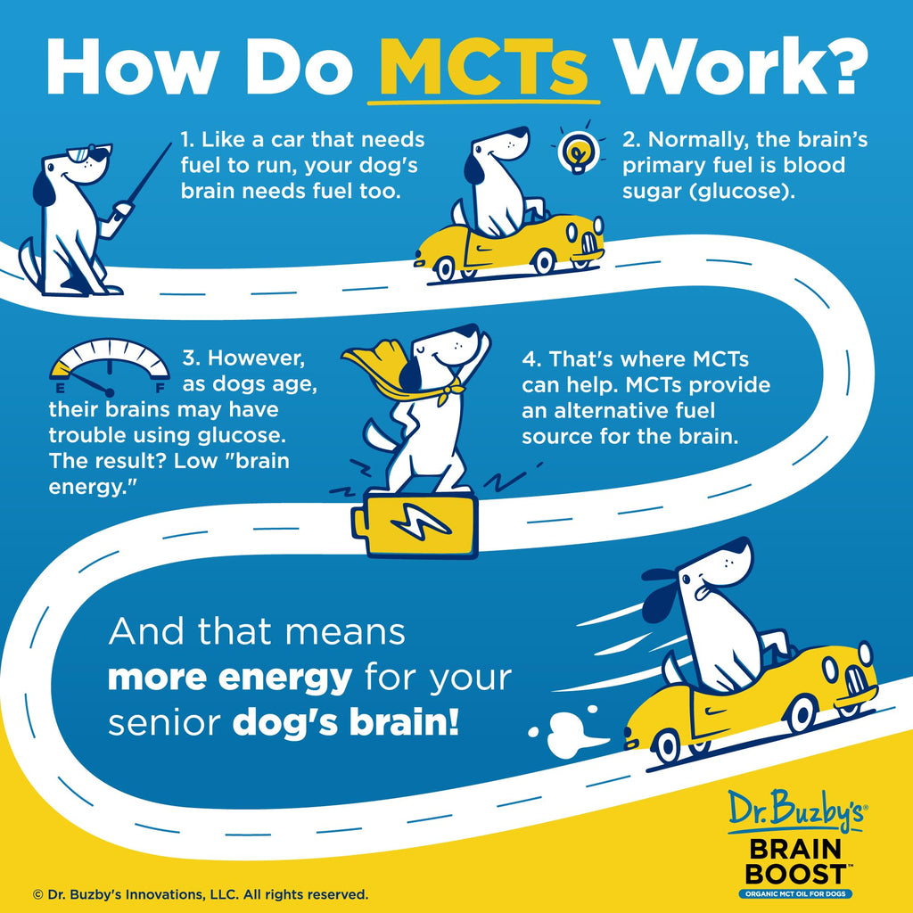 Organic MCT Oil for Dogs Y743