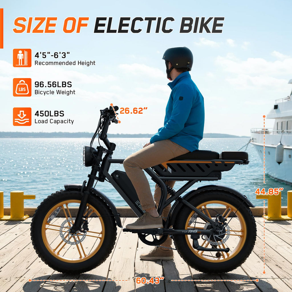 Electric Bike 48V Removable Battery F938482