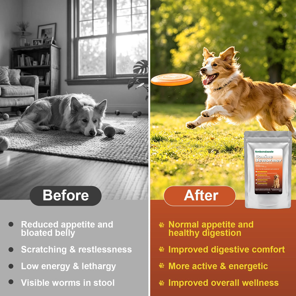 Dog Dewormer 100g A501950