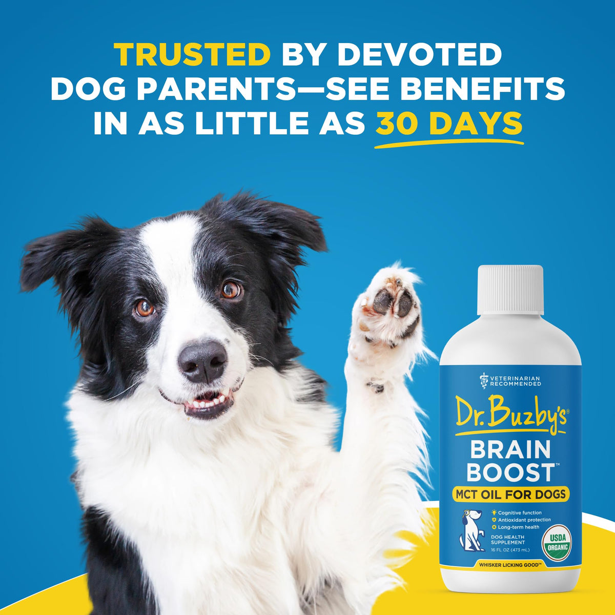 Organic MCT Oil for Dogs Y743