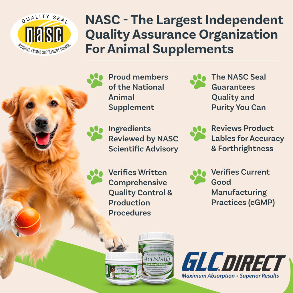 Large Dog Soft Chews, 120ct Joint Supplement K6936