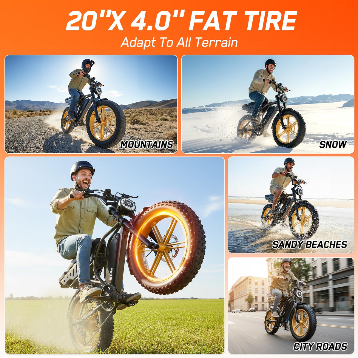 Electric Bike 48V Removable Battery F938482