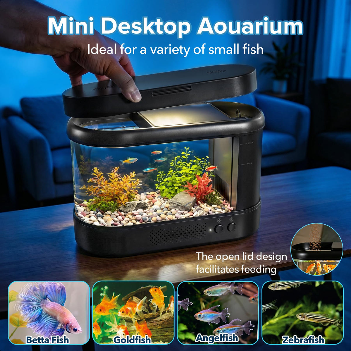 Black 1 Gallon Acrylic Aquarium Kit C7919