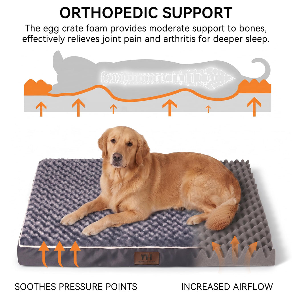 XXL Washable Dog Bed B1727