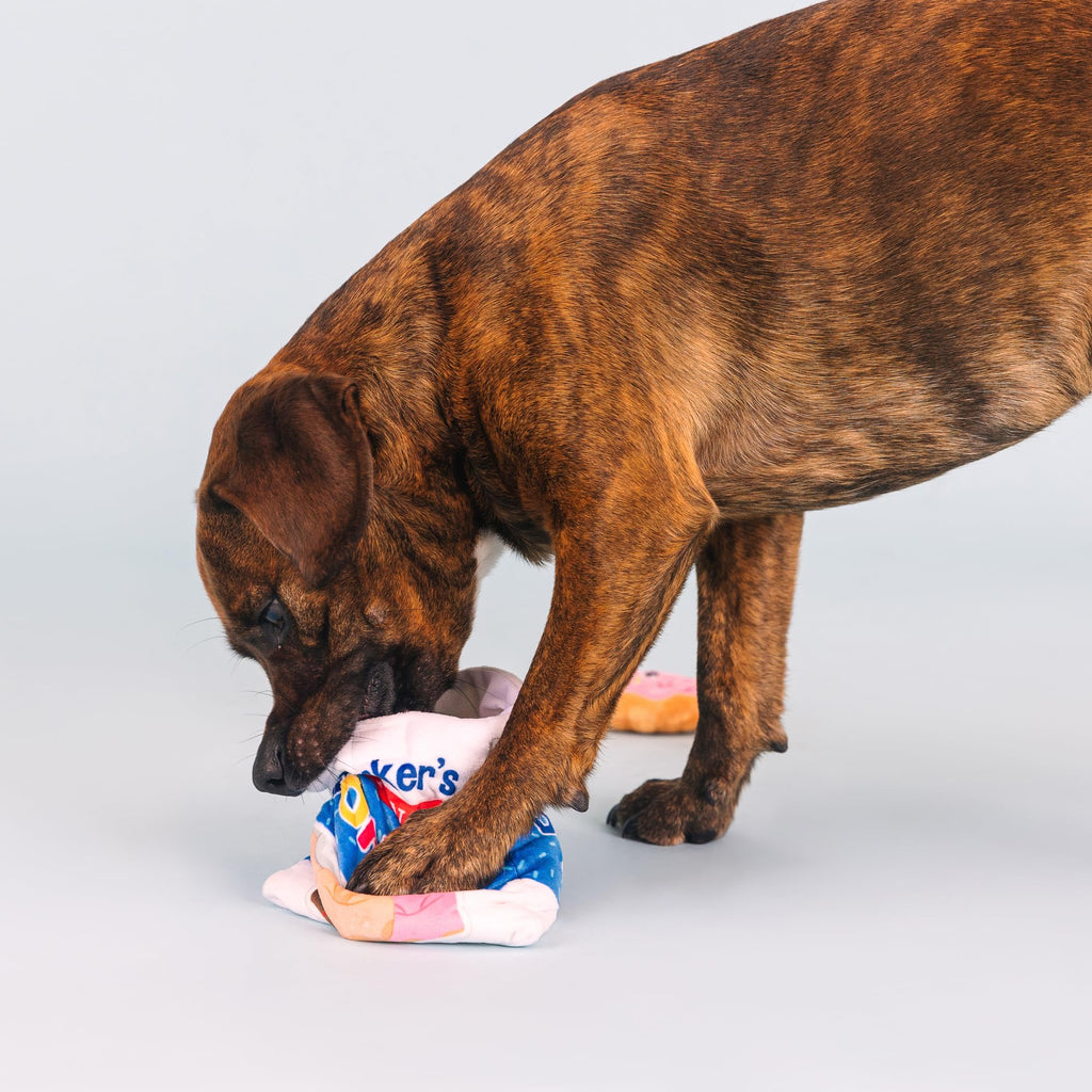 Plush Dog Toy Set O746