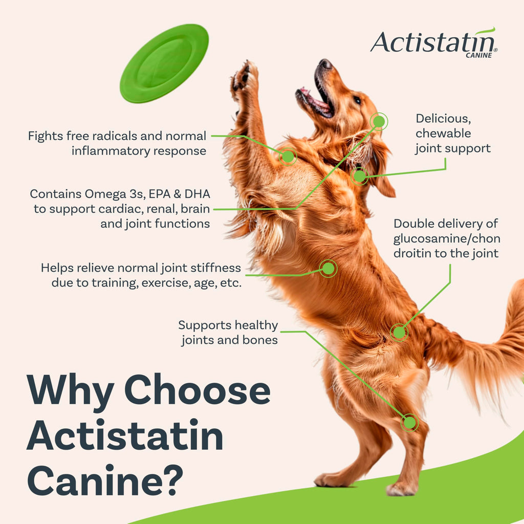 Large Dog Soft Chews, 120ct Joint Supplement K6936