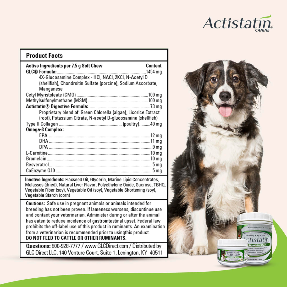 Large Dog Soft Chews, 120ct Joint Supplement K6936