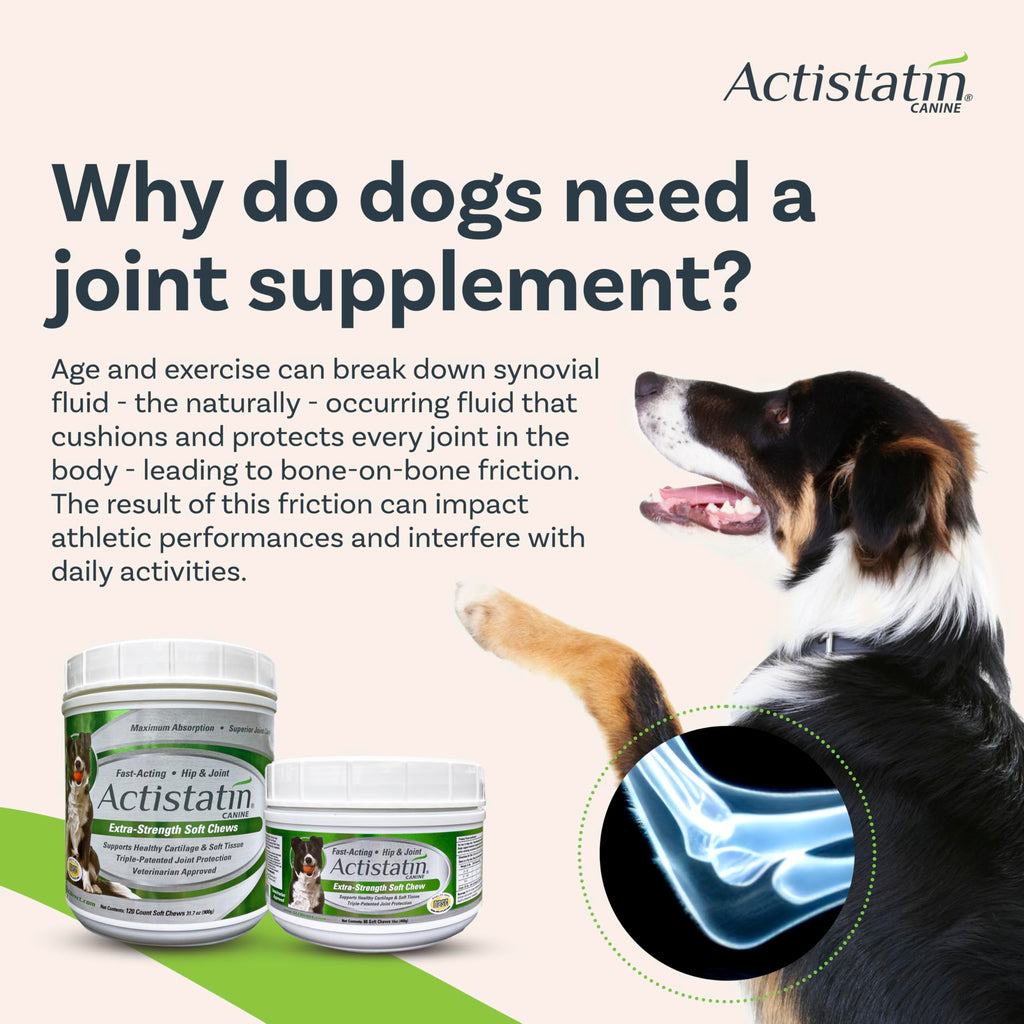 Large Dog Soft Chews, 120ct Joint Supplement K6936